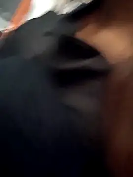 Sweet-runi online show from 6, 3, 2026