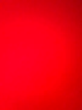 DocCock021 online show from 18, 2, 2026