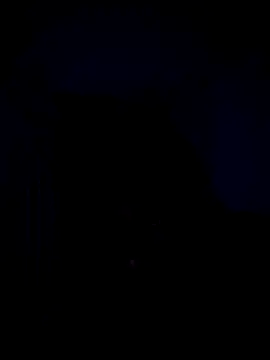 Snapshot of Telugucouple69 chatting on 15, 2, 2026 Telugucouple69 online show from 15, 2, 2026