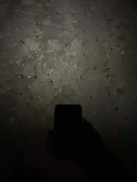 stallone italiano 62 online show from 17, 2, 2026