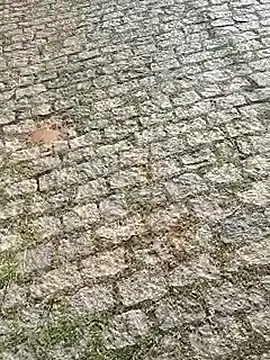 DiamanteNegro90 online show from 7, 4, 2026