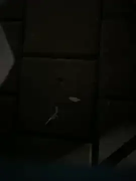 Snapshot of Darkhotcouple chatting on 14, 2, 2026 Darkhotcouple online show from 14, 2, 2026