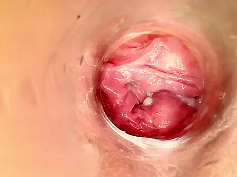 karol kane online show from 11, 2, 2026