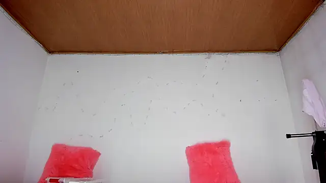 karol kane online show from 13, 2, 2026