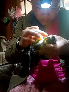 nelina 12345 online show from 23, 3, 2026