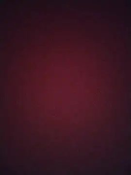 Snapshot of Regina_23 chatting on 20, 2, 2026 Regina 23 online show from 20, 2, 2026