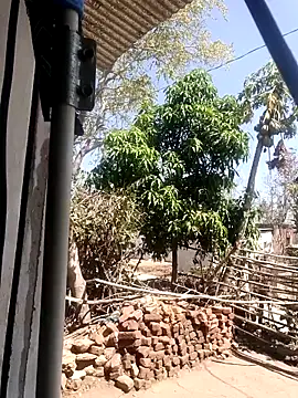 taniya0 online show from 13, 3, 2026