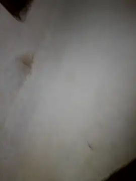 Snapshot of iwantolderwmn chatting on 19, 2, 2026 iwantolderwmn online show from 19, 2, 2026