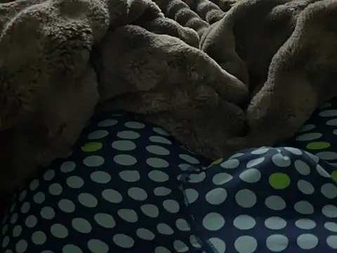 kakarot241515 online show from 6, 3, 2026