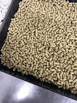 Snapshot of Elmanc chatting on 26, 2, 2026 Elmanc online show from 26, 2, 2026