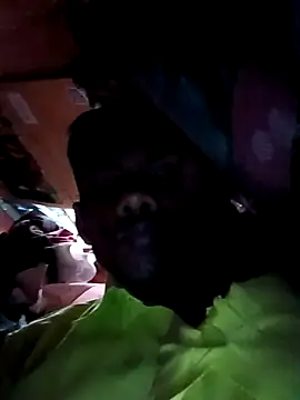 India-Sajan online show from 21, 3, 2026