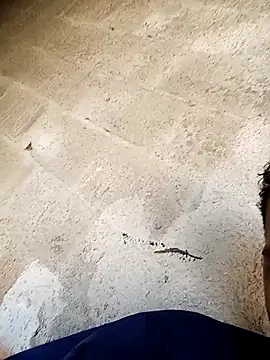 Snapshot of negopreto_ chatting on 24, 2, 2026 negopreto online show from 24, 2, 2026