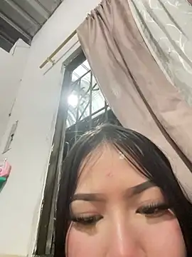 gatinholl online show from 15, 3, 2026