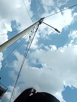 sandy 11  online show from 4, 4, 2026