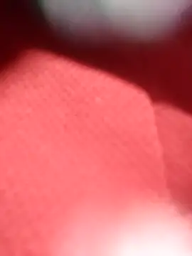 Snapshot of jackkk0011 chatting on 26, 2, 2026 jackkk0011 online show from 26, 2, 2026