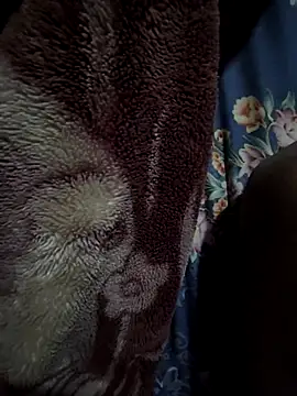 rmriya online show from 27, 2, 2026