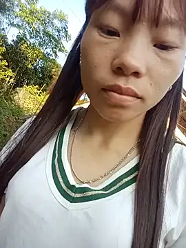 pic8800 online show from 25, 5, 2026