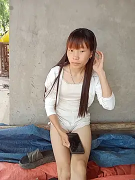 pic8800 online show from 27, 5, 2026