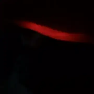 yaocaobi8 online show from 19, 3, 2026