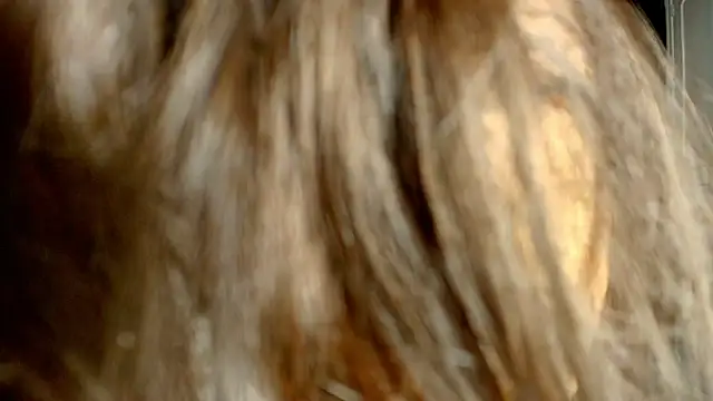 Snapshot of ambriosialove chatting on 3, 3, 2026 ambriosialove online show from 3, 3, 2026