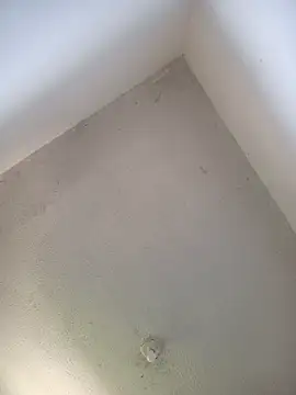 priscilaf online show from 19, 4, 2026