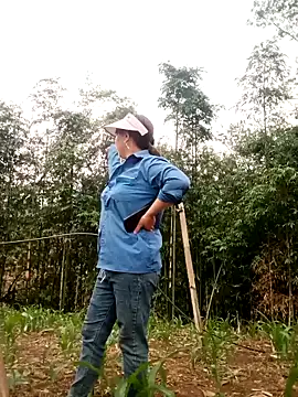 lyly sexx online show from 16, 4, 2026