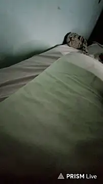 wolf297 online show from 26, 2, 2026