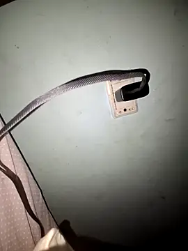 wolf297 online show from 28, 2, 2026