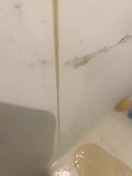 bichalouca online show from 31, 3, 2026