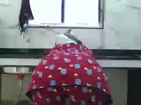 Miss Sanika online show from 5, 3, 2026