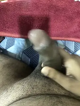 Dick 346 online show from 6, 3, 2026