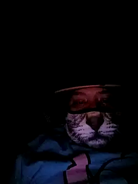 Charlygunslove online show from 3, 3, 2026