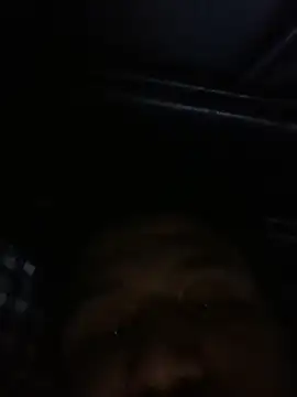 lubeitupguy online show from 9, 3, 2026