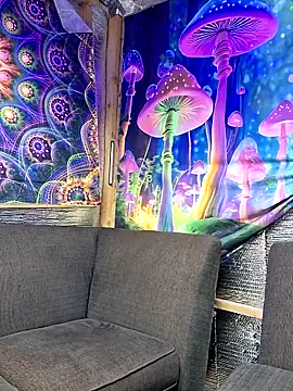 drednasty online show from 31, 3, 2026