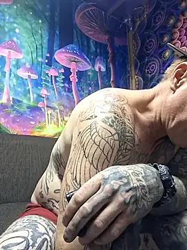 drednasty online show from 11, 4, 2026