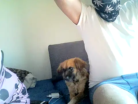 Snapshot of SirNefastus chatting on 12, 4, 2026 SirNefastus online show from 12, 4, 2026