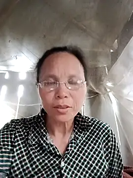 Tina6886 online show from 30, 4, 2026