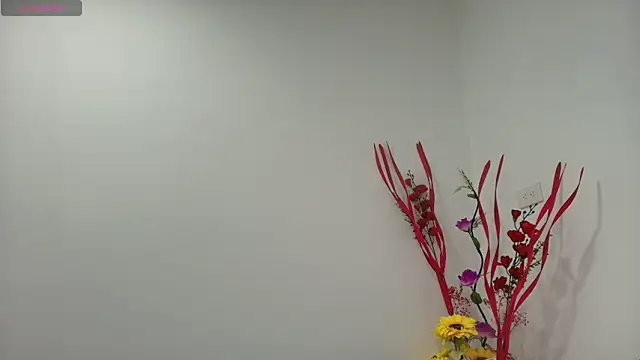 carlaantonellii online show from 16, 5, 2026