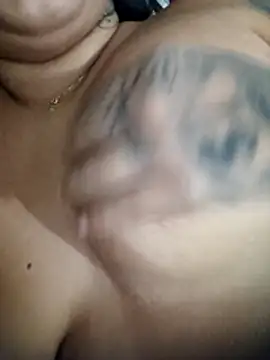 silva763mm online show from 19, 3, 2026