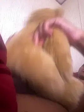 Snapshot of Bigcock127 chatting on 24, 3, 2026 Bigcock127 online show from 24, 3, 2026