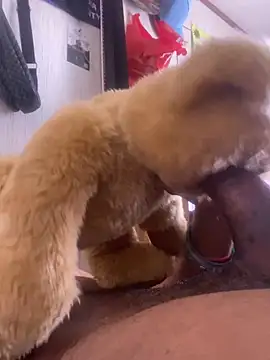 Snapshot of Bigcock127 chatting on 26, 3, 2026 Bigcock127 online show from 26, 3, 2026