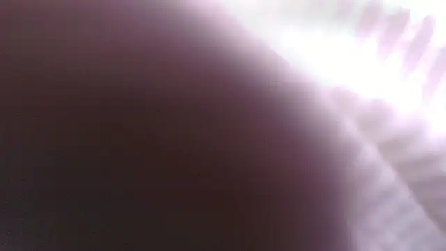 Snapshot of Lucia__vega chatting on 30, 5, 2026 Lucia vega online show from 30, 5, 2026