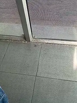 Snapshot of oneeyedwonder96 chatting on 16, 7, 2026 oneeyedwonder96 online show from 16, 7, 2026