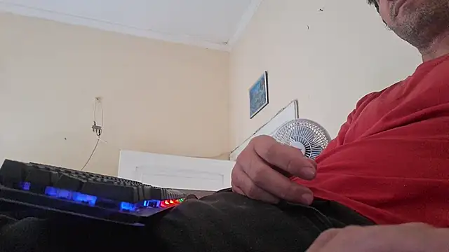 Sueliton2 online show from 1, 4, 2026