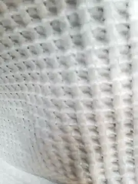 Snapshot of Aurora_Nova chatting on 25, 3, 2026 Aurora Nova online show from 25, 3, 2026