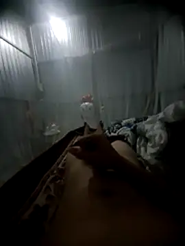 raise559 online show from 10, 4, 2026