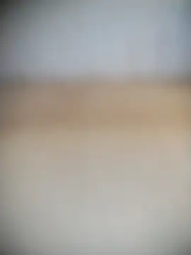 mille20 online show from 3, 4, 2026