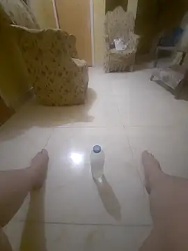 beebuzz0 online show from 16, 4, 2026