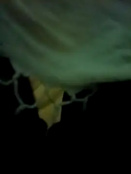 Snapshot of yourdreamman007_ chatting on 31, 3, 2026 yourdreamman007 online show from 31, 3, 2026