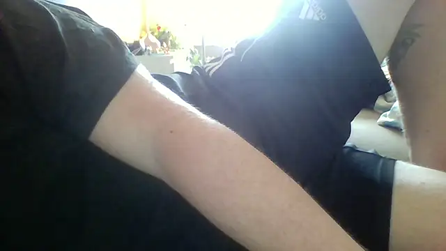 Pallmees online show from 20, 4, 2026